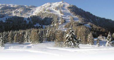 Monte Zoncolan: percorsi, dettagli, meraviglia.